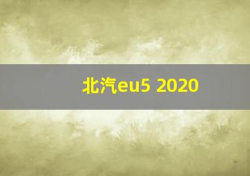 北汽eu5 2020